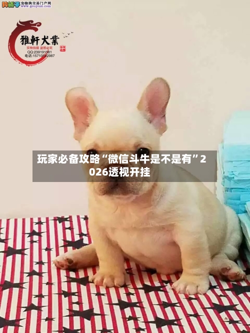 玩家必备攻略“微信斗牛是不是有”2026透视开挂