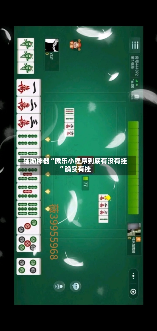 辅助神器“微乐小程序到底有没有挂”确实有挂-第2张图片