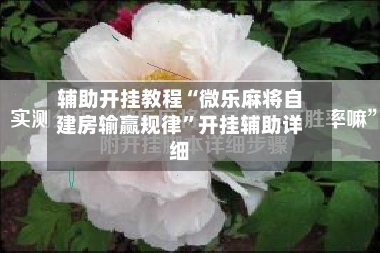 辅助开挂教程“微乐麻将自建房输赢规律”开挂辅助详细-第2张图片