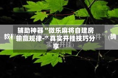 辅助神器“微乐麻将自建房输赢规律-”真实开挂技巧分享-第3张图片