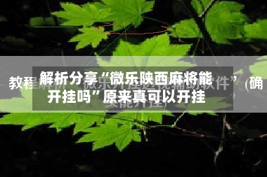 解析分享“微乐陕西麻将能开挂吗”原来真可以开挂-第1张图片