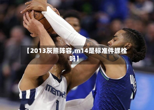 【2013灰熊阵容,m14是标准件螺栓吗】-第2张图片