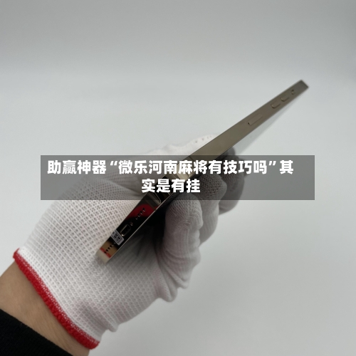 助赢神器“微乐河南麻将有技巧吗”其实是有挂-第2张图片