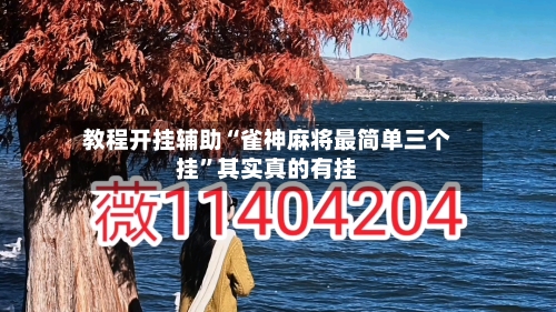 教程开挂辅助“雀神麻将最简单三个挂”其实真的有挂-第3张图片