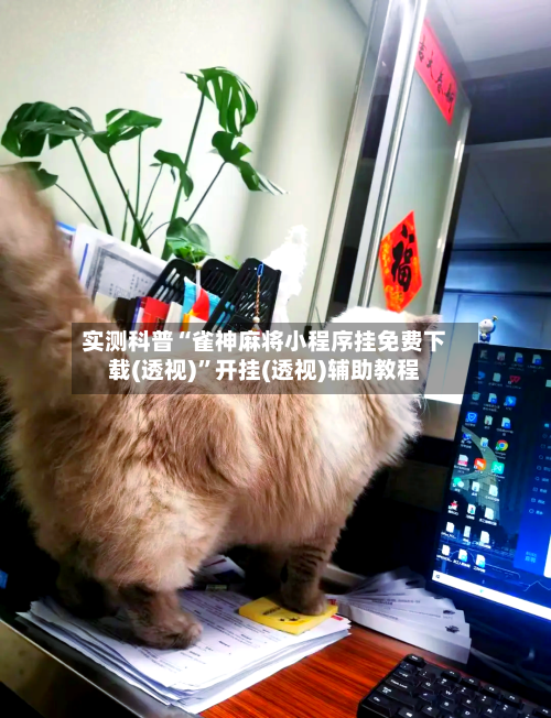 实测科普“雀神麻将小程序挂免费下载(透视)”开挂(透视)辅助教程-第2张图片
