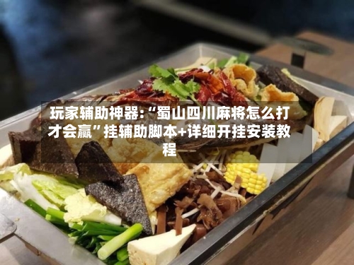 玩家辅助神器:“蜀山四川麻将怎么打才会赢”挂辅助脚本+详细开挂安装教程-第1张图片