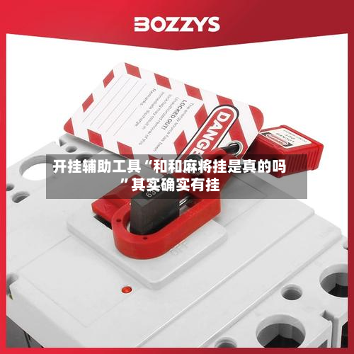 开挂辅助工具“和和麻将挂是真的吗	”其实确实有挂-第2张图片