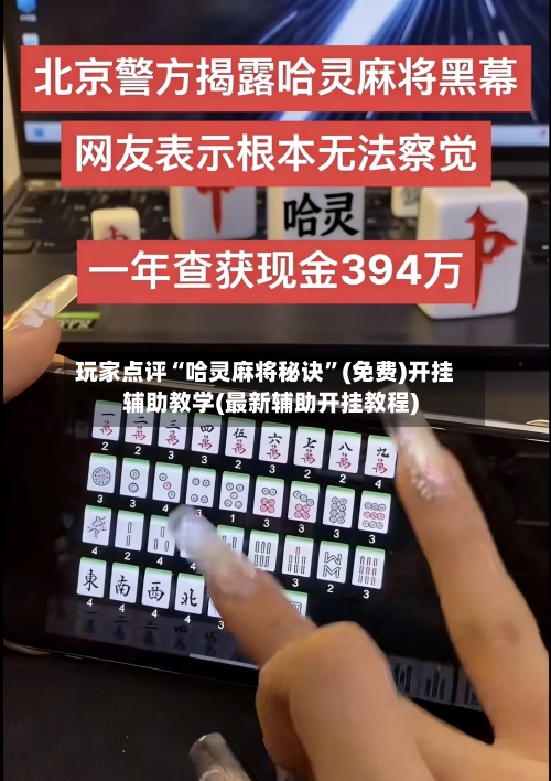 玩家点评“哈灵麻将秘诀”(免费)开挂辅助教学(最新辅助开挂教程)-第3张图片