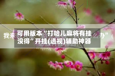可用版本“打哈儿麻将有挂没得”开挂(透视)辅助神器