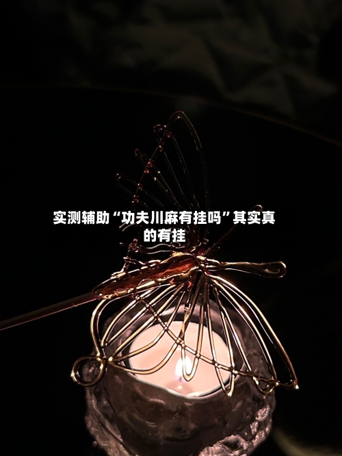 实测辅助“功夫川麻有挂吗”其实真的有挂-第1张图片