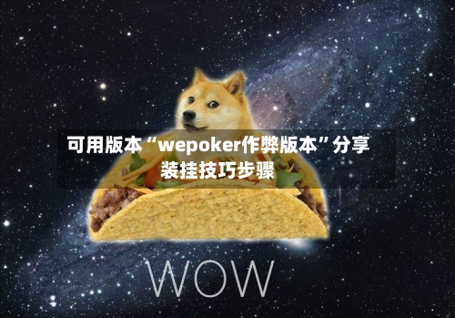 可用版本“wepoker作弊版本	”分享装挂技巧步骤-第2张图片