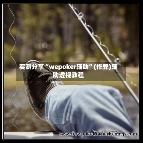 实测分享“wepoker辅助”(作弊)辅助透视教程-第1张图片