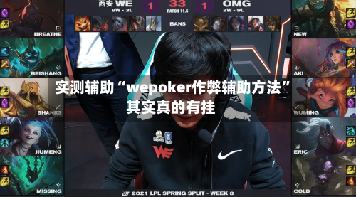 实测辅助“wepoker作弊辅助方法”其实真的有挂-第2张图片