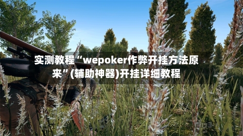 实测教程“wepoker作弊开挂方法原来”(辅助神器)开挂详细教程-第2张图片