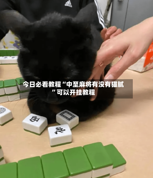 今日必看教程“中至麻将有没有猫腻”可以开挂教程-第1张图片