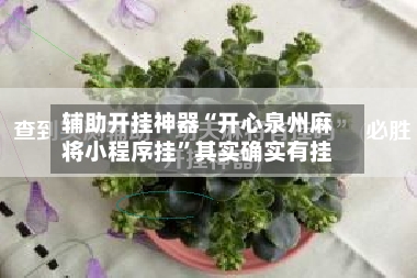 辅助开挂神器“开心泉州麻将小程序挂”其实确实有挂