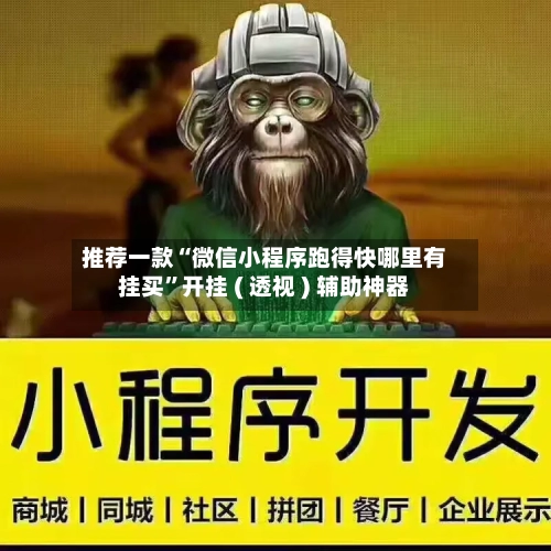 推荐一款“微信小程序跑得快哪里有挂买”开挂 ( 透视 ) 辅助神器-第2张图片