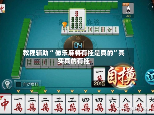 教程辅助“ 微乐麻将有挂是真的”其实真的有挂