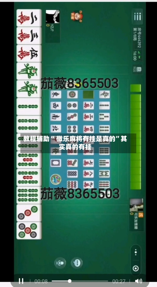 教程辅助“ 微乐麻将有挂是真的”其实真的有挂-第3张图片