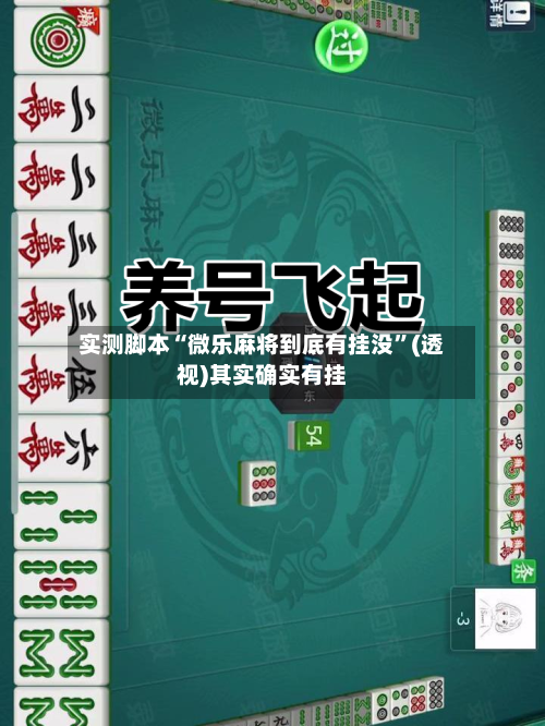 实测脚本“微乐麻将到底有挂没”(透视)其实确实有挂-第2张图片