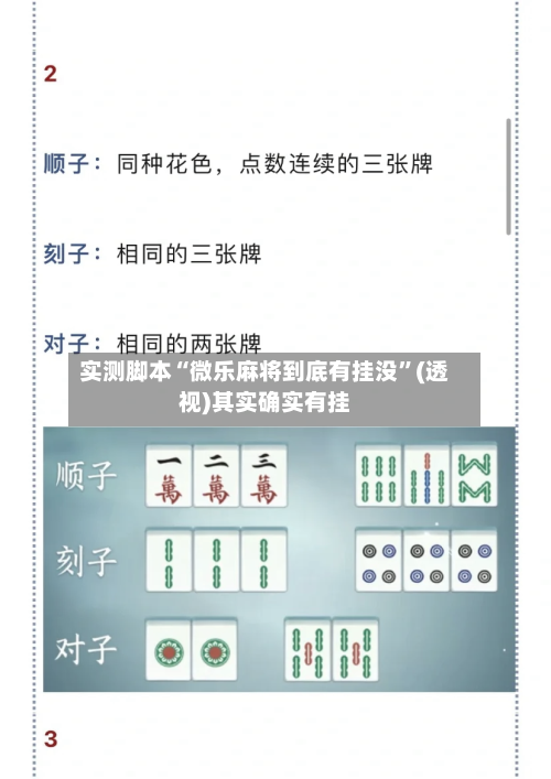 实测脚本“微乐麻将到底有挂没”(透视)其实确实有挂-第2张图片