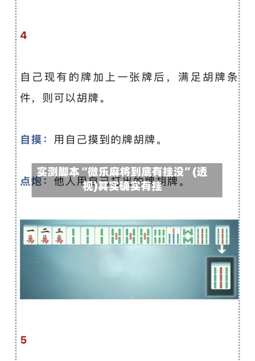 实测脚本“微乐麻将到底有挂没”(透视)其实确实有挂-第3张图片