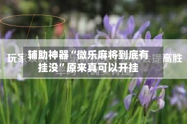 辅助神器“微乐麻将到底有挂没”原来真可以开挂