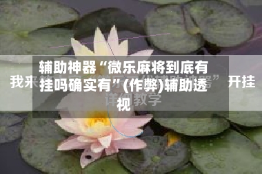 辅助神器“微乐麻将到底有挂吗确实有”(作弊)辅助透视-第3张图片