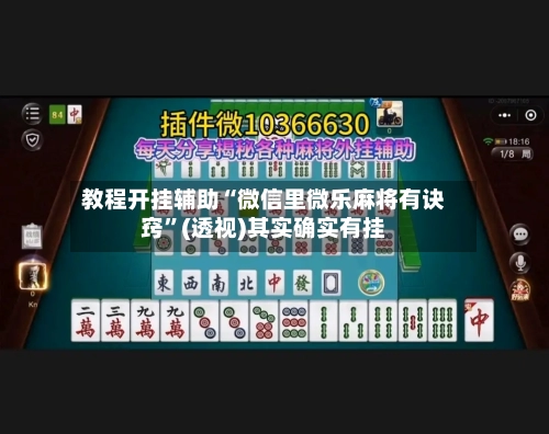 教程开挂辅助“微信里微乐麻将有诀窍”(透视)其实确实有挂-第3张图片