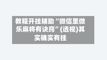 教程开挂辅助“微信里微乐麻将有诀窍”(透视)其实确实有挂-第2张图片