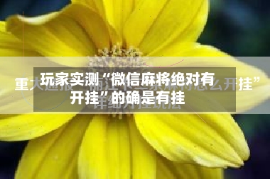 玩家实测“微信麻将绝对有开挂”的确是有挂-第2张图片