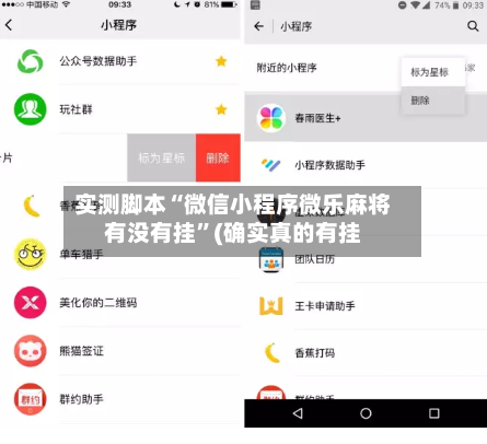 实测脚本“微信小程序微乐麻将有没有挂”(确实真的有挂-第2张图片