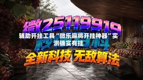 辅助开挂工具“微乐麻将开挂神器	”实测确实有挂-第1张图片