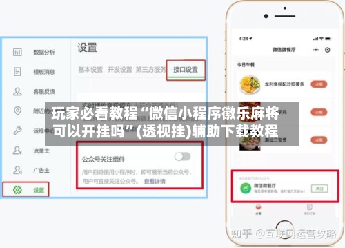 玩家必看教程“微信小程序徽乐麻将可以开挂吗”(透视挂)辅助下载教程-第3张图片