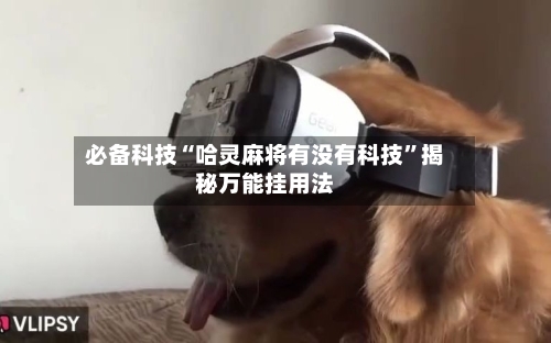 必备科技“哈灵麻将有没有科技”揭秘万能挂用法-第2张图片