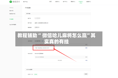 教程辅助“ 微信哈儿麻将怎么赢”其实真的有挂