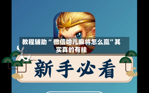 教程辅助“ 微信哈儿麻将怎么赢”其实真的有挂-第2张图片