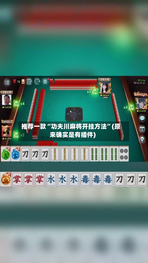 推荐一款“功夫川麻将开挂方法”(原来确实是有插件)-第3张图片