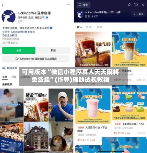 可用版本“微信小程序真人天天麻将免费挂	”(作弊)辅助透视教程-第3张图片