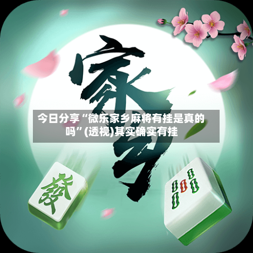 今日分享“微乐家乡麻将有挂是真的吗”(透视)其实确实有挂-第2张图片