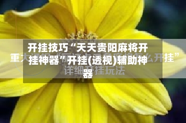 开挂技巧“天天贵阳麻将开挂神器	”开挂(透视)辅助神器-第2张图片