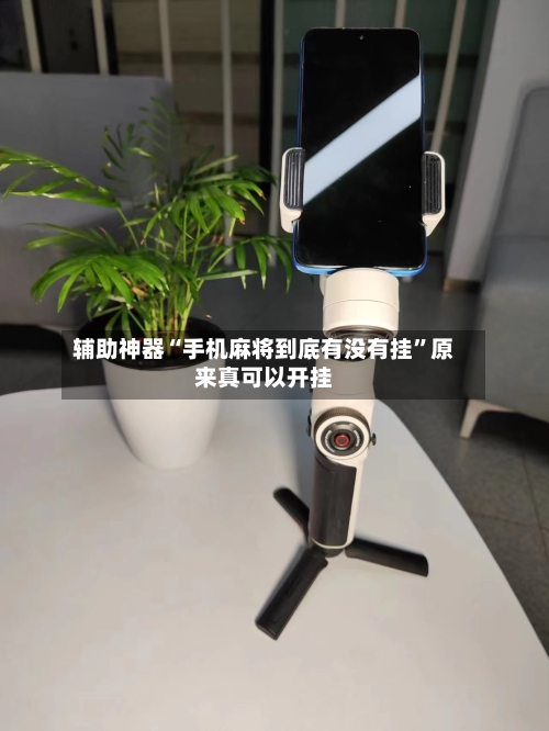 辅助神器“手机麻将到底有没有挂”原来真可以开挂