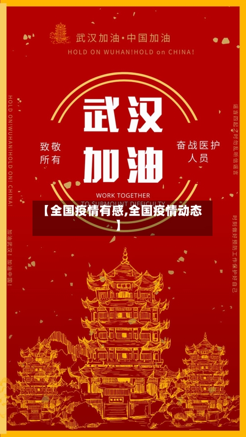 【全国疫情有感,全国疫情动态】-第3张图片