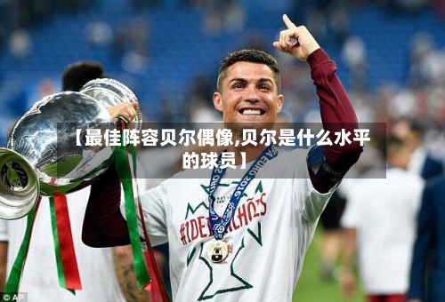 【最佳阵容贝尔偶像,贝尔是什么水平的球员】-第3张图片