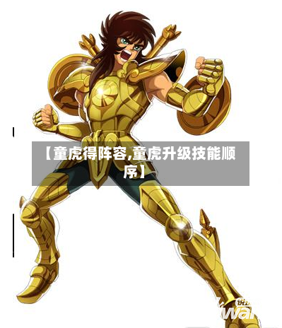 【童虎得阵容,童虎升级技能顺序】