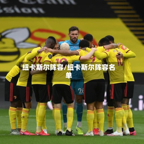 纽卡斯尔阵容/纽卡斯尔阵容名单-第3张图片