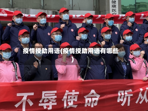疫情授助用语(疫情授助用语有哪些)-第2张图片