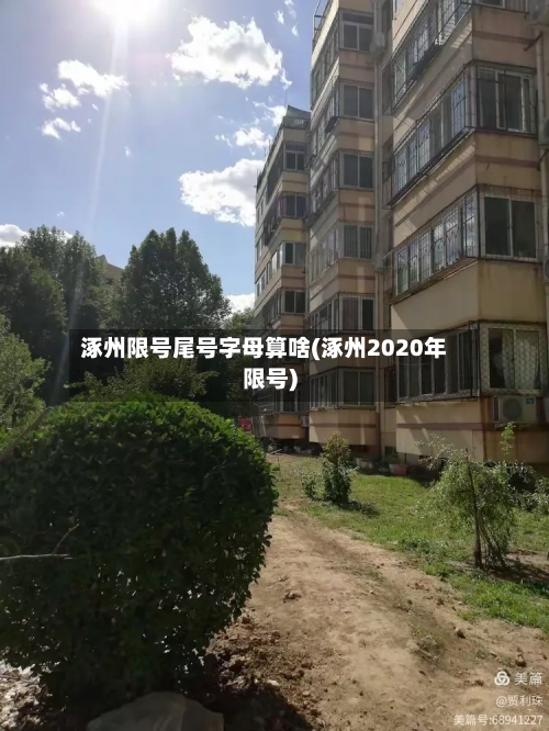 涿州限号尾号字母算啥(涿州2020年限号)-第3张图片