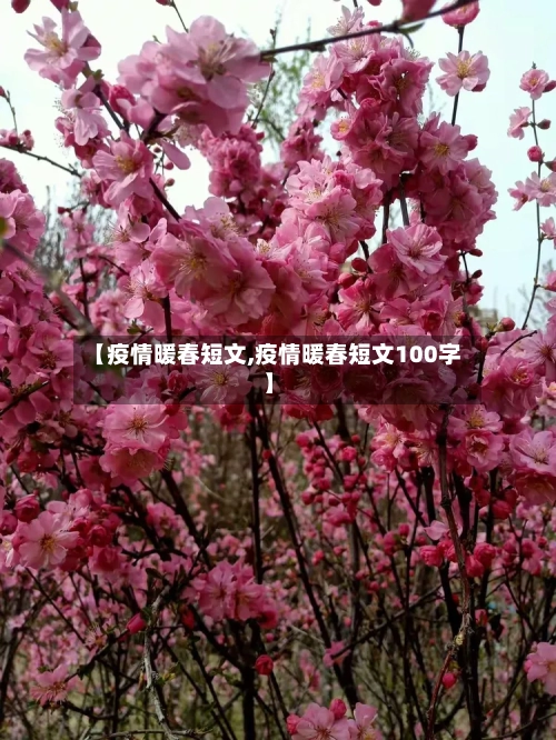 【疫情暖春短文,疫情暖春短文100字】-第3张图片