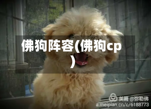 佛狗阵容(佛狗cp)